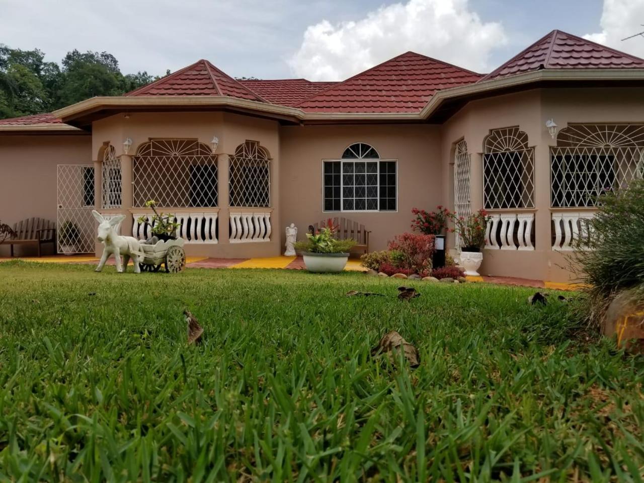 Villa Cliffe Ranch Mandeville Exterior foto